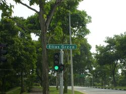 Elias Green (D18), Condominium #558832341